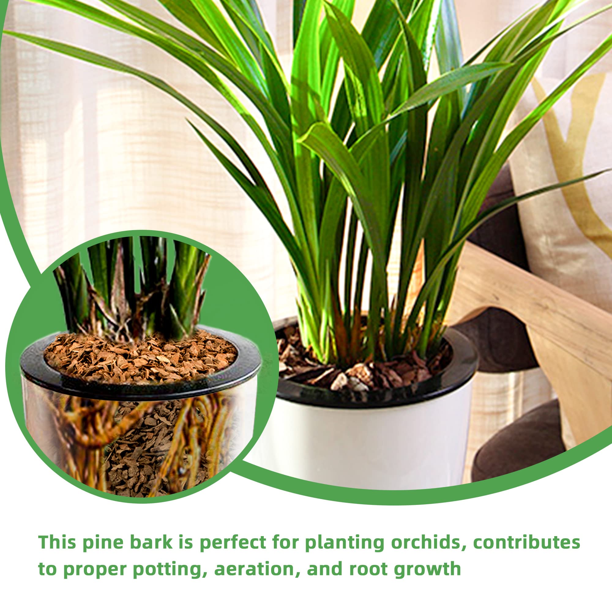 CJGQ orchid potting mulch being applied to a pot