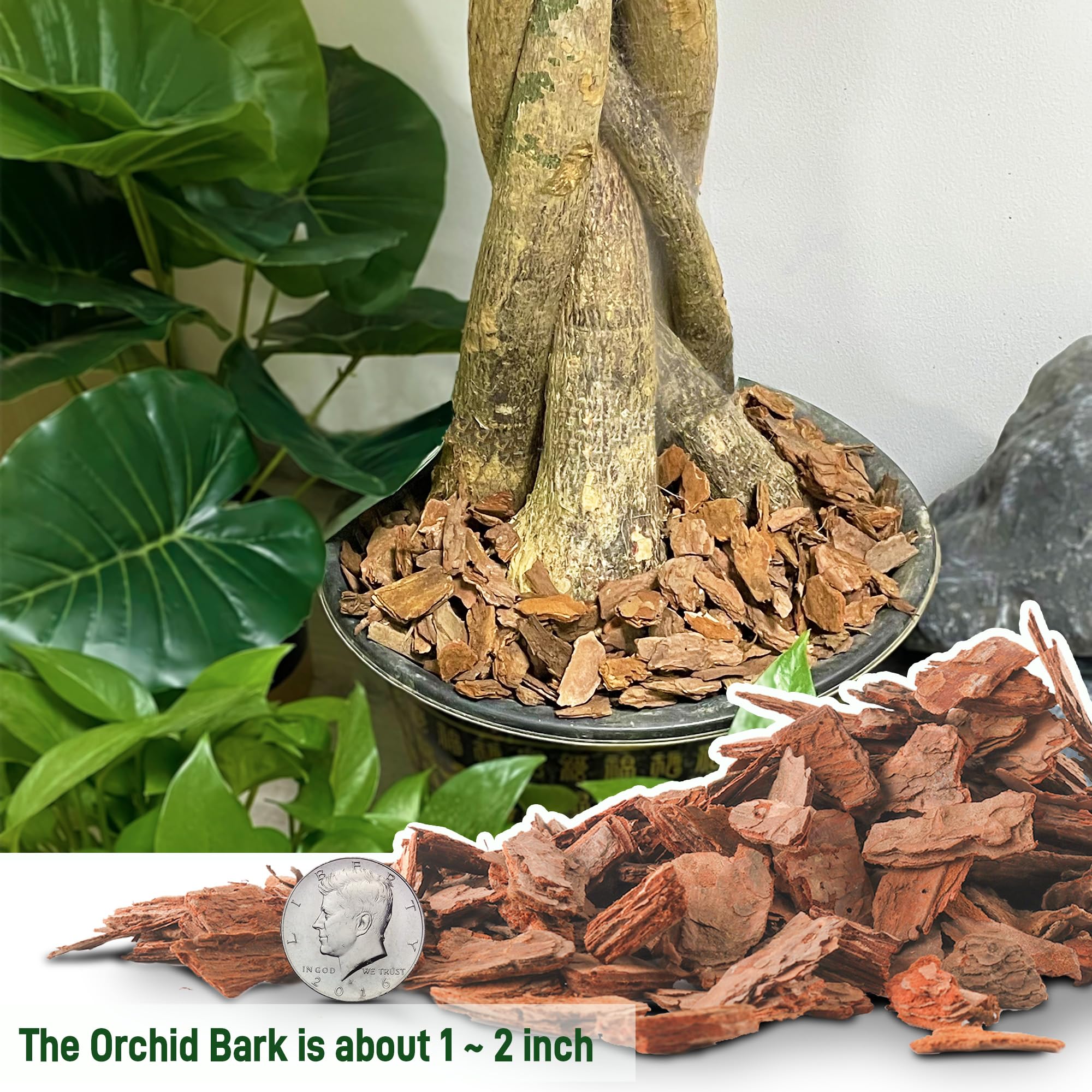 CJGQ pine bark provides organic material to support orchid growth.