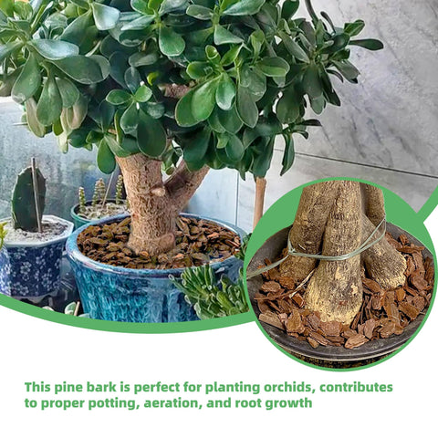 CJGQ organic bark as natural soil amendment for plant nutrition