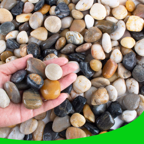 CJGQ Pebbles for Plants close-up texture shows natural, durable stones for lasting garden color