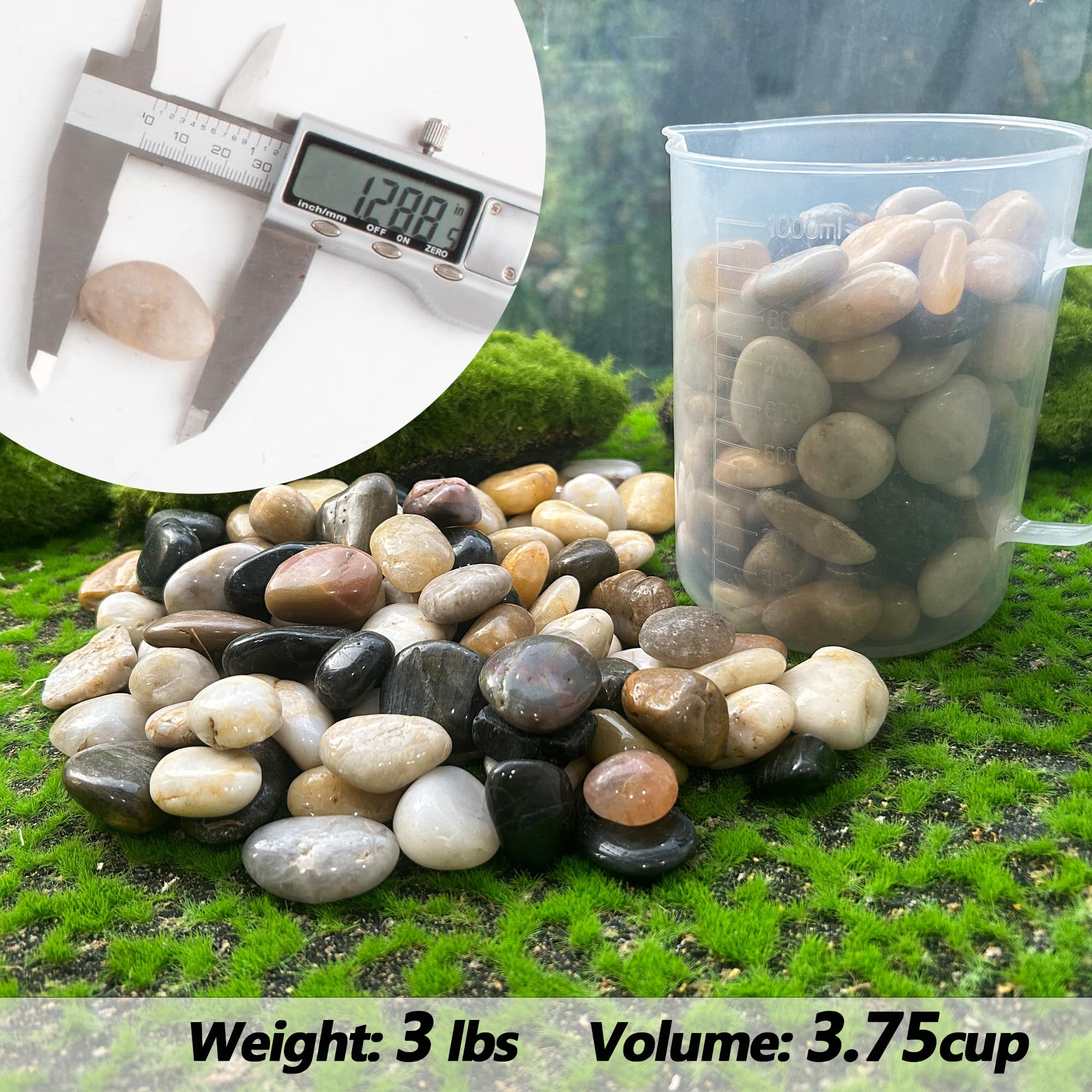 CJGQ Pebbles for Plants garden-bed-application demonstrating low-maintenance decorative beds