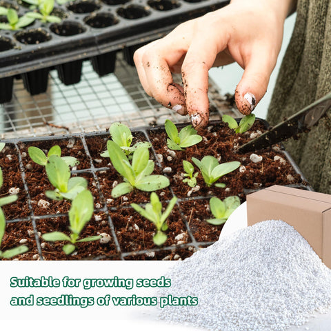 CJGQ Hydroponic perlite usage improves moisture balance and air flow.