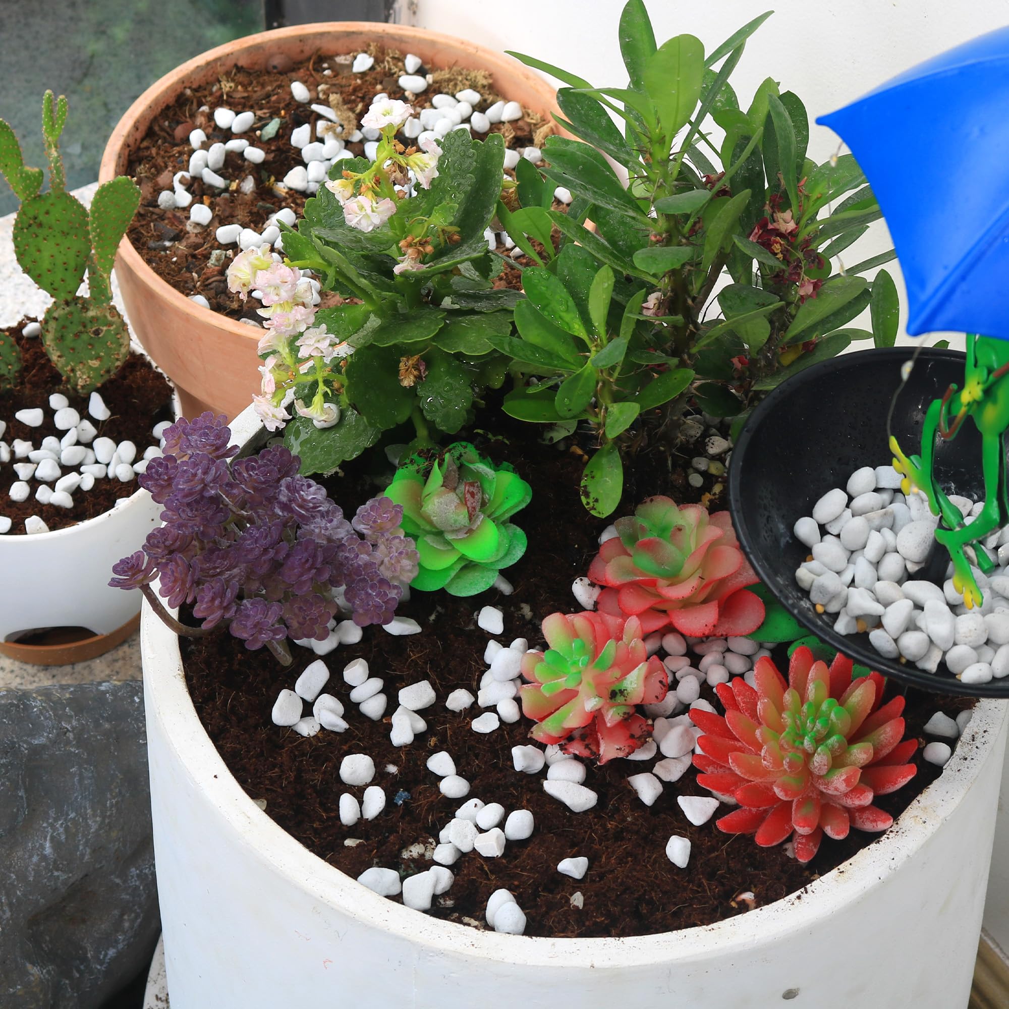 CJGQ perlite acts as soil amendment for potting mixes