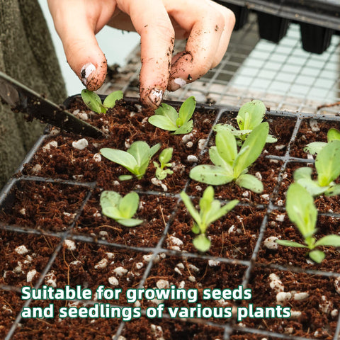 CJGQ perlite hydroponic amendment enhances drainage and seed germination.