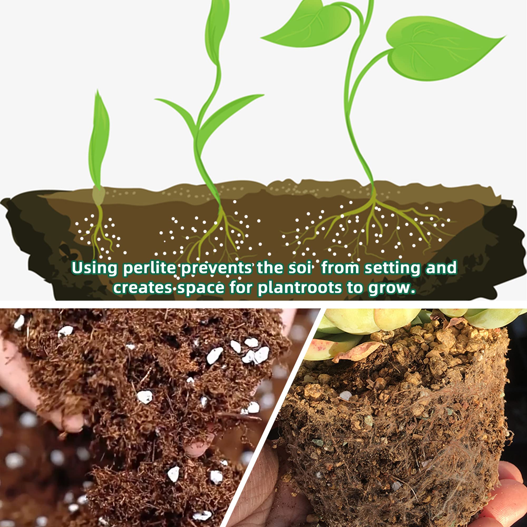 CJGQ neutral pH perlite supports versatile potting mixes and hydroponics