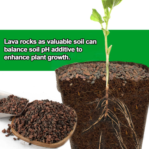 CJGQ ph neutralizer lava rocks natural soil balance
