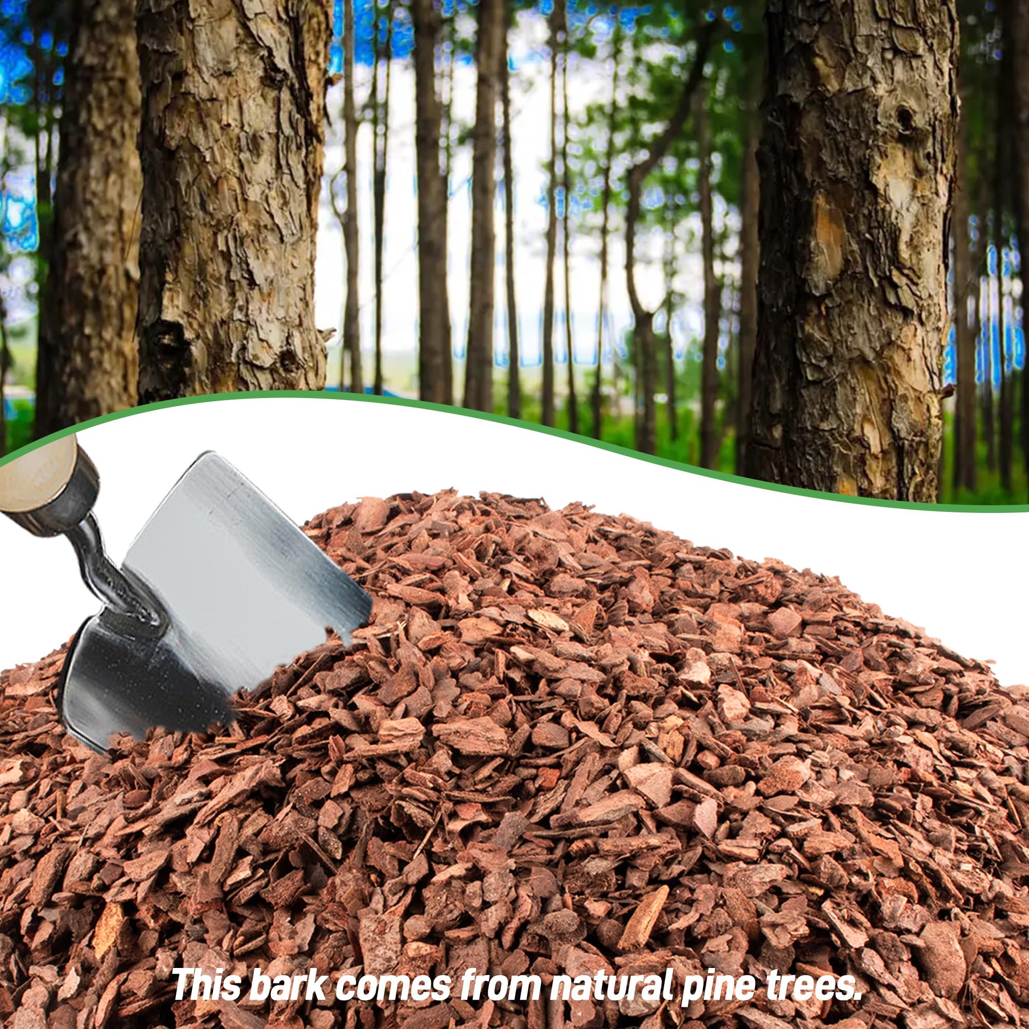 Pine bark chips 1/2 to 1 inch from CJGQ for well aerated orchid roots