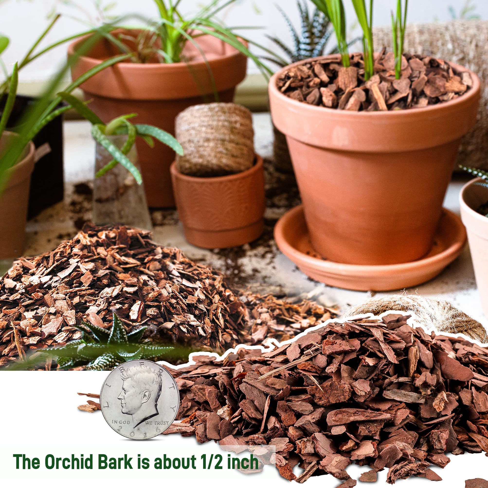 CJGQ pine bark chips close-up shows organic substrate for orchids