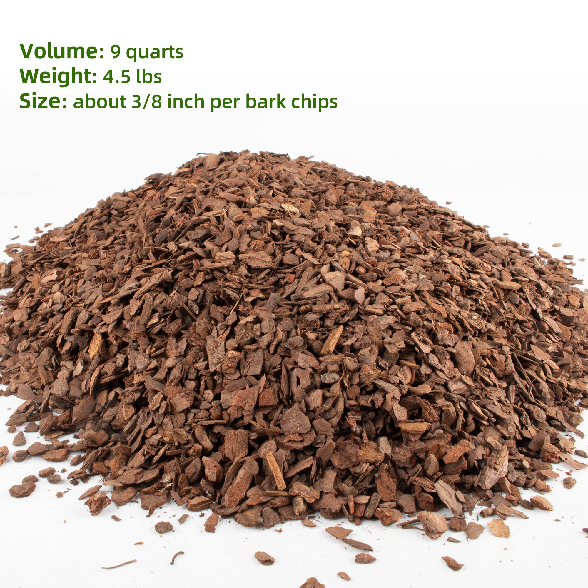 CJGQ pine bark texture close-up highlighting natural chips