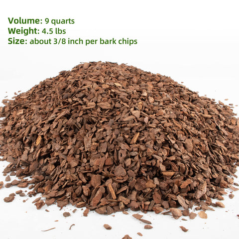 CJGQ pine bark texture close-up highlighting natural chips