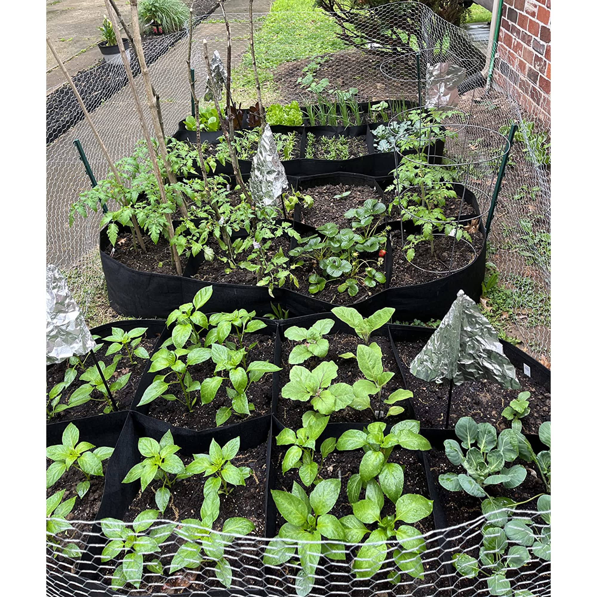 CJGQ planting bed in full sun supports easy vegetable and flower growth