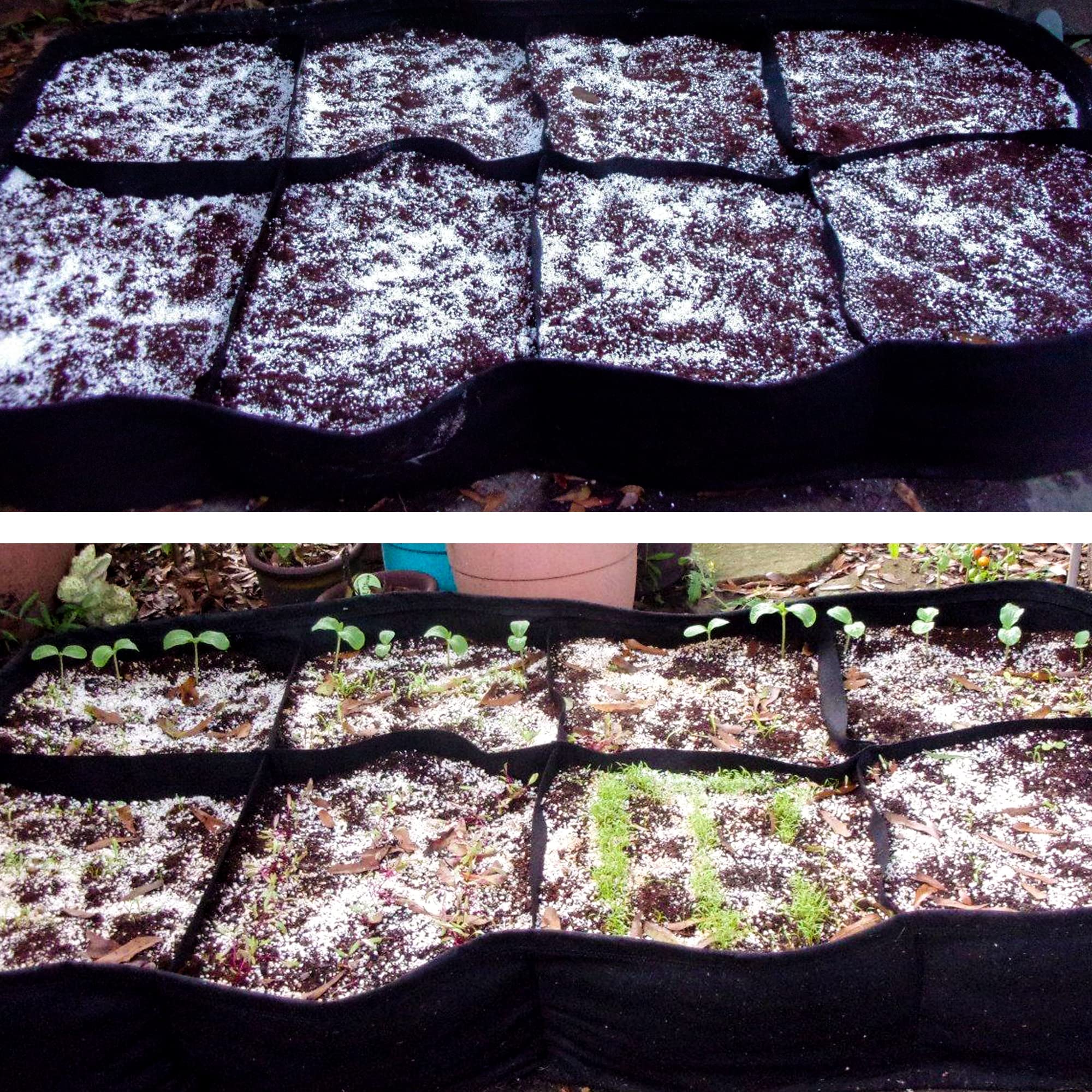 CJGQ Potting soil drainage improvement perlite enhances structure.