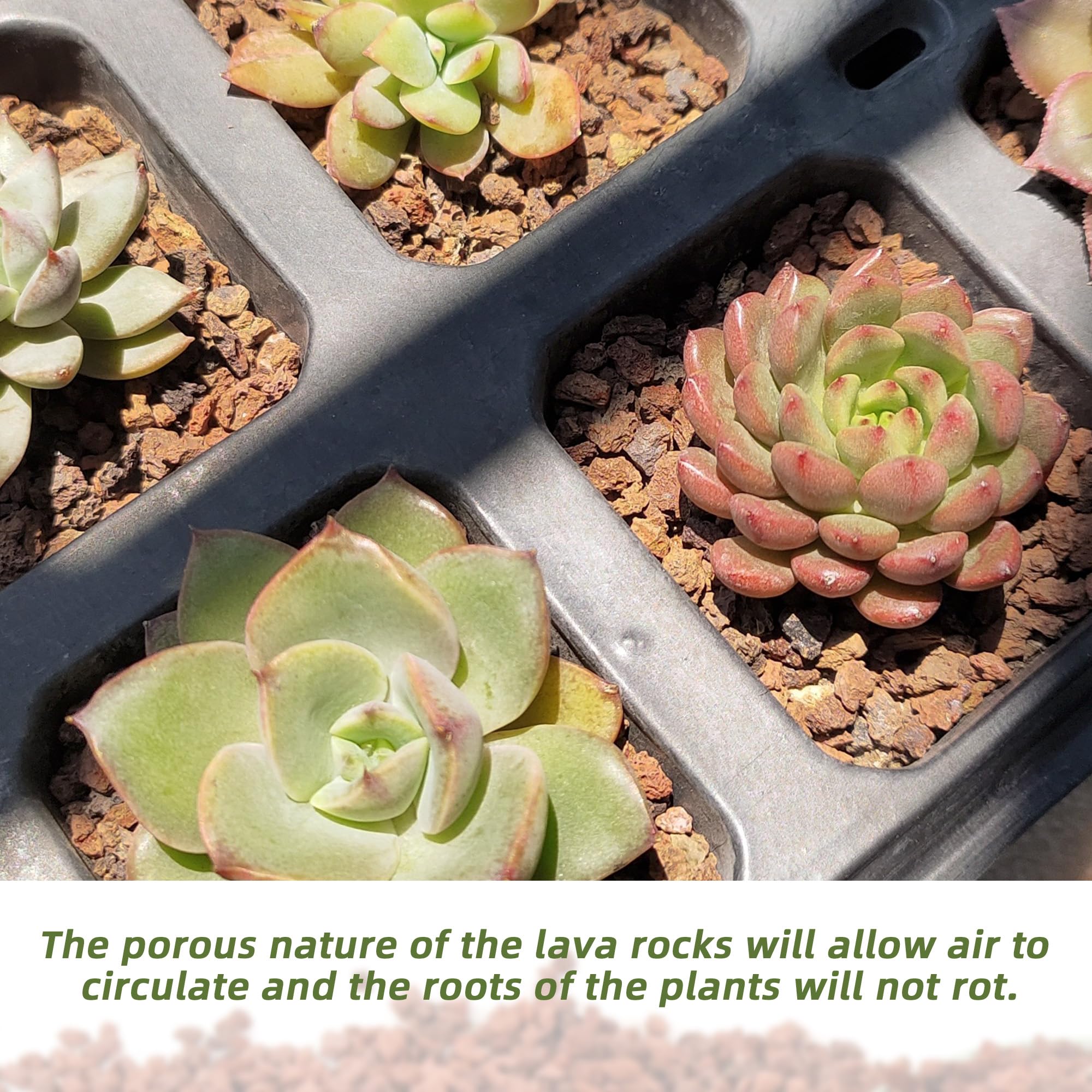 CJGQ red lava rocks at the bottom of planters enhance drainage and prevent root rot.