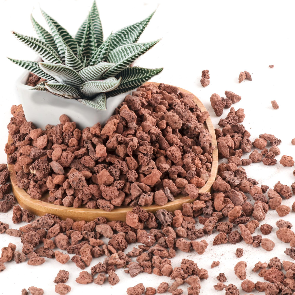 CJGQ red lava rocks half-inch pieces with porous texture for aeration and moisture balance.