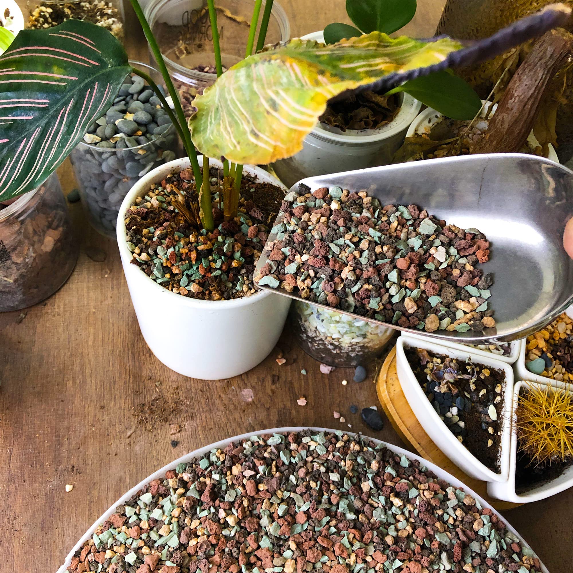 CJGQ rocks top dressing for vases provide natural color accents.