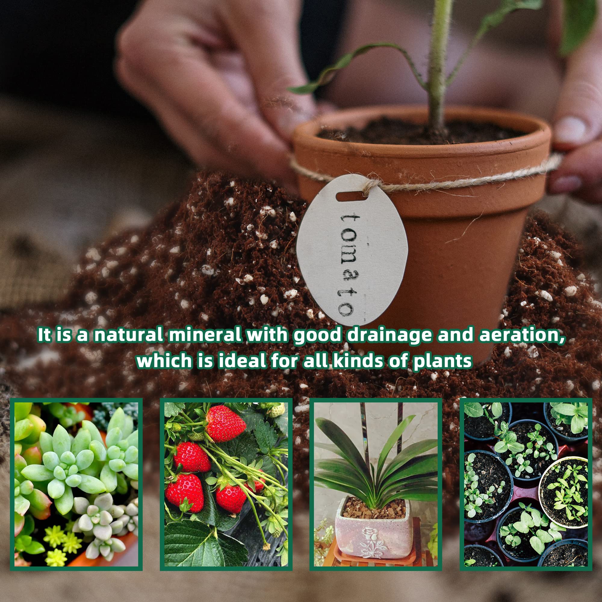CJGQ perlite anchors roots and aids propagation for cuttings