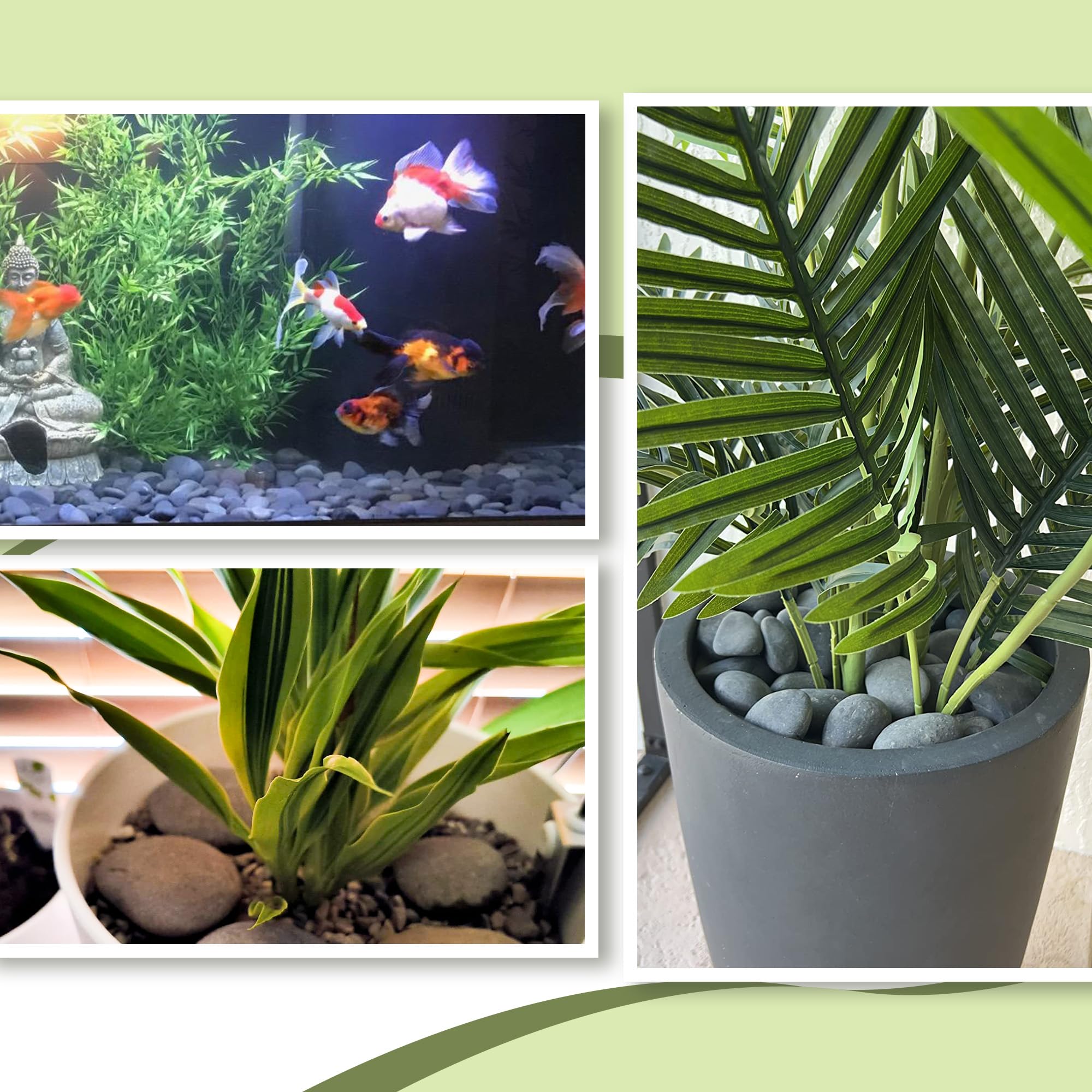 CJGQ terrarium and bonsai rocks add natural texture to enclosed habitats.