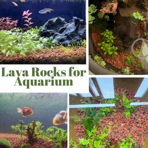 CJGQ volcanic lava rocks ideal for bonsai with natural texture and drainage.