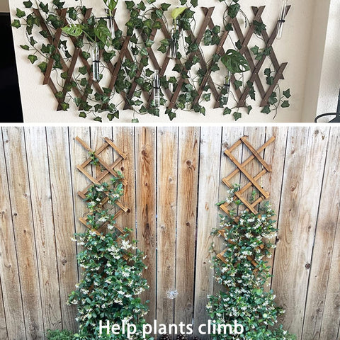 CJGQ wall fence divider for organized garden layouts.