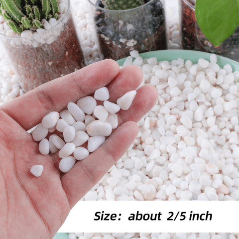 CJGQ white gravel for succulent containers and tidy plant displays.