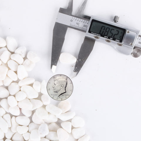 CJGQ White Pebbles 7lb plant container setup adds natural accents