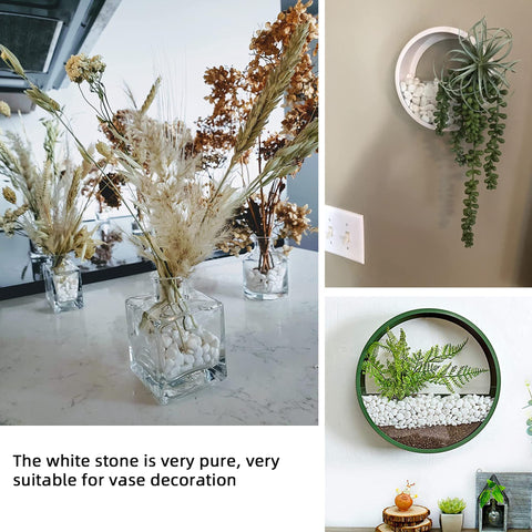 CJGQ White Pebbles 7lb succulent vase idea with low-gloss surface