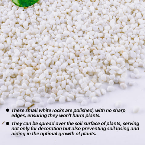 CJGQ white pebbles aquarium décor for brighter, natural-looking fish tanks.
