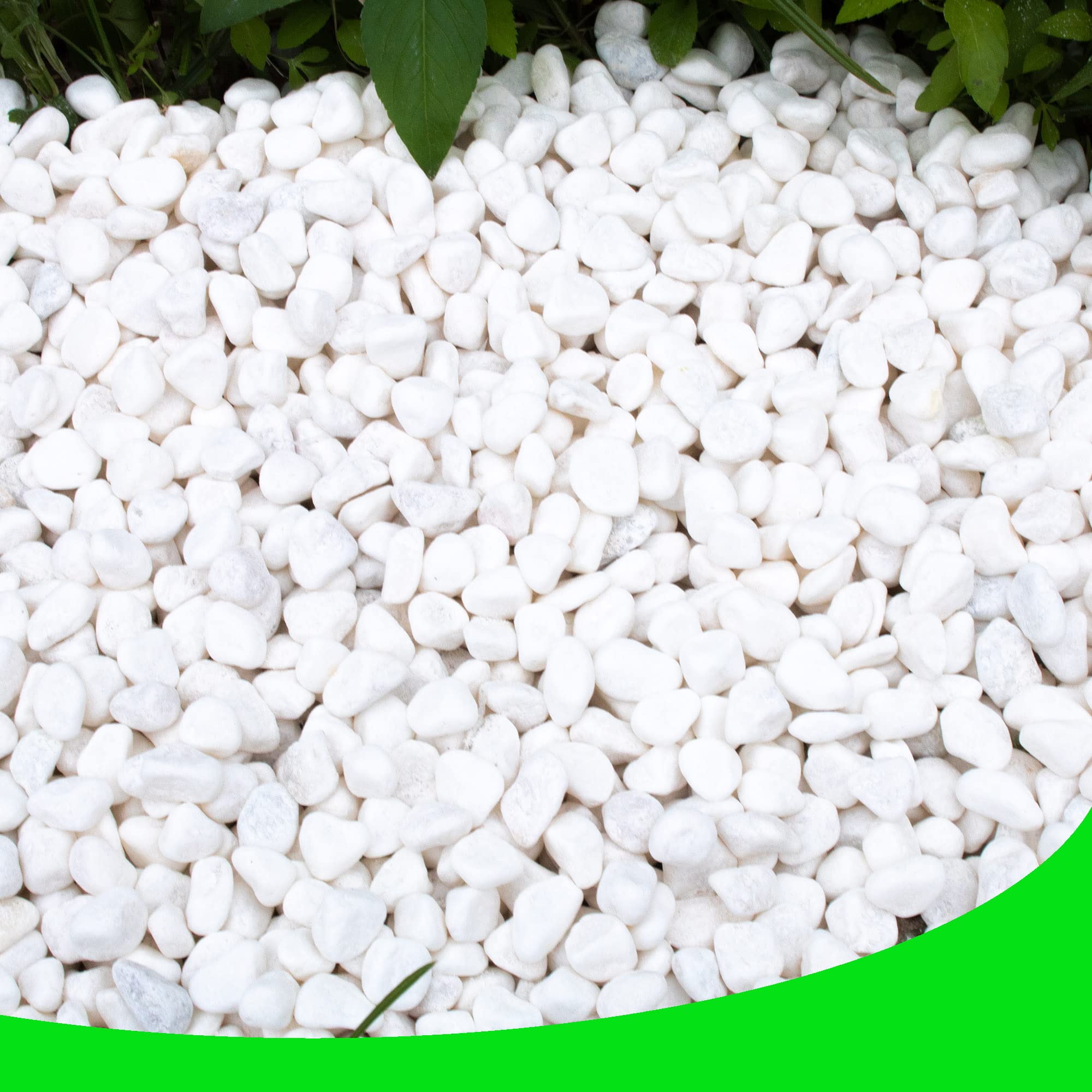 CJGQ White Pebbles for Plants – close-up view for elegant plant displays and vase filler