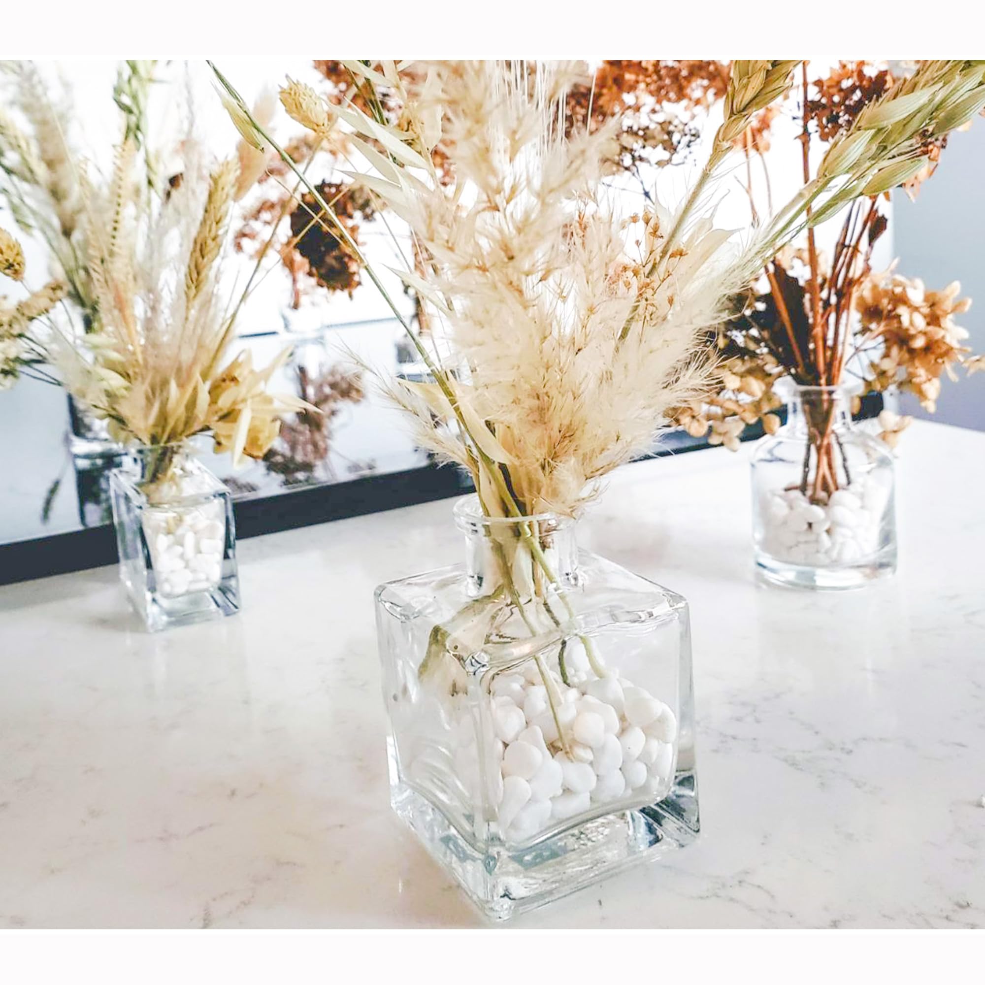 CJGQ decorative pebbles brighten terrariums and terrarium walls.