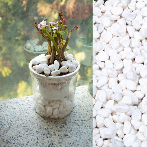 CJGQ White Pebbles – vase-fill close shot ideal for terrariums and decorative arrangements
