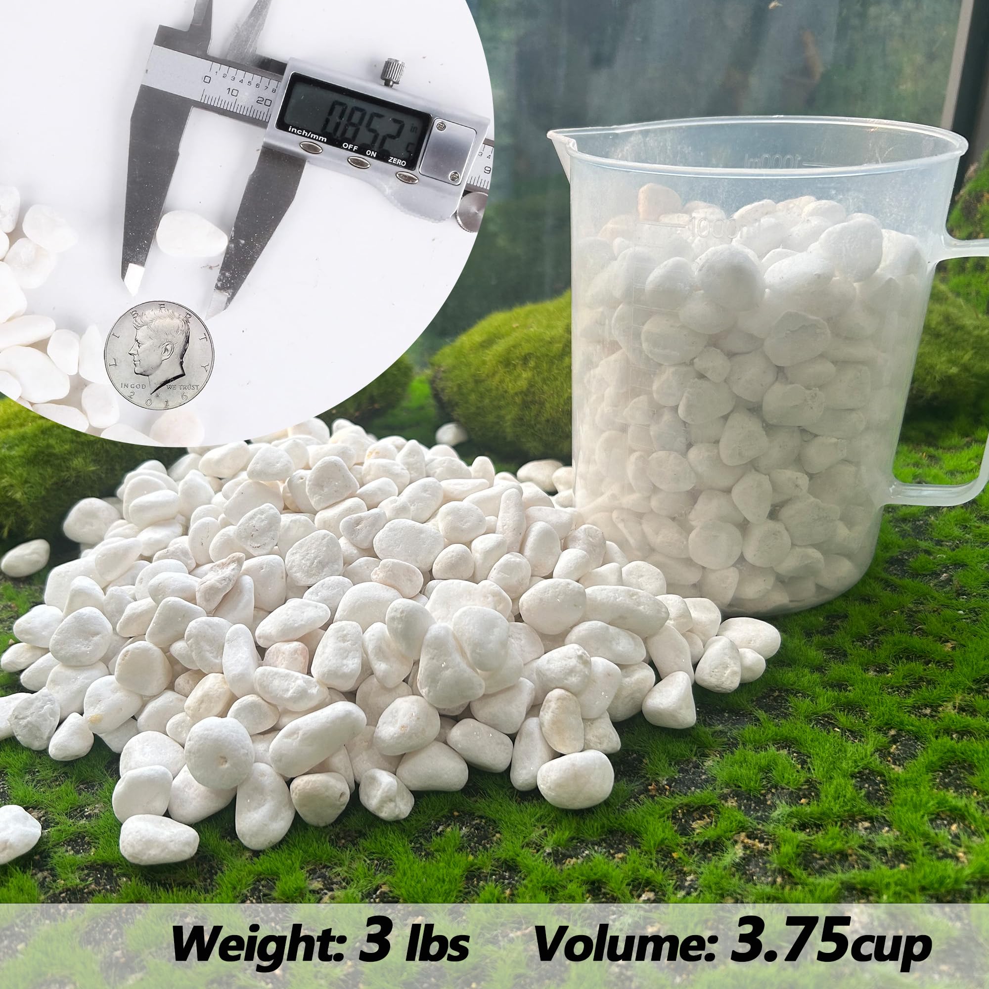 CJGQ white rocks for outdoor walkways add clean color and low maintenance