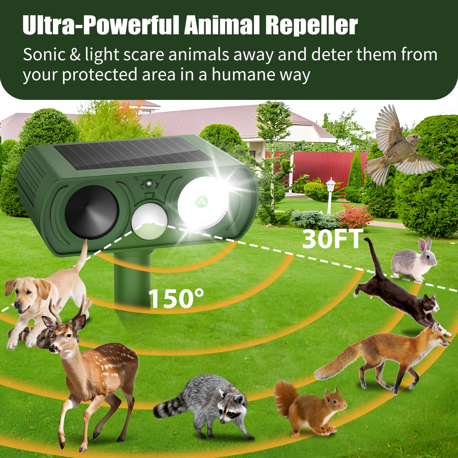 CKCOEO Solar Ultrasonic Animal Repellent motion sensor deters wildlife before approaching