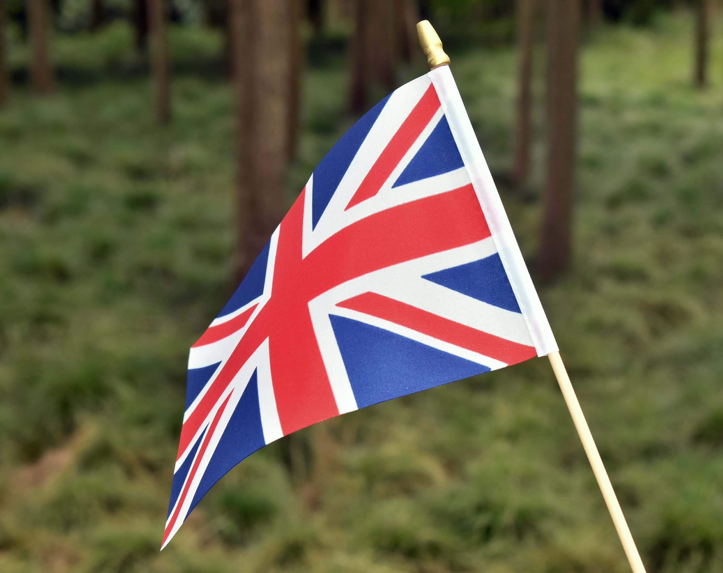 Ckexin 25-pack British flags for festivals and sports events