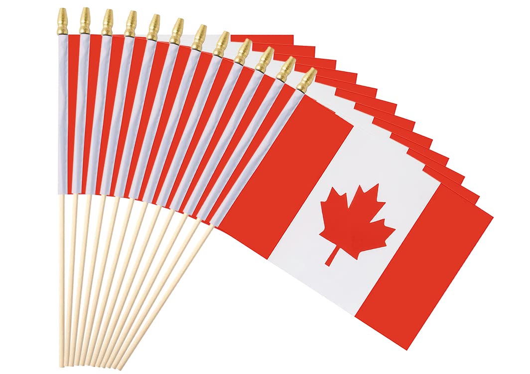 Ckexin 25-pack Canada flag handheld 5x8 for high-visibility event displays