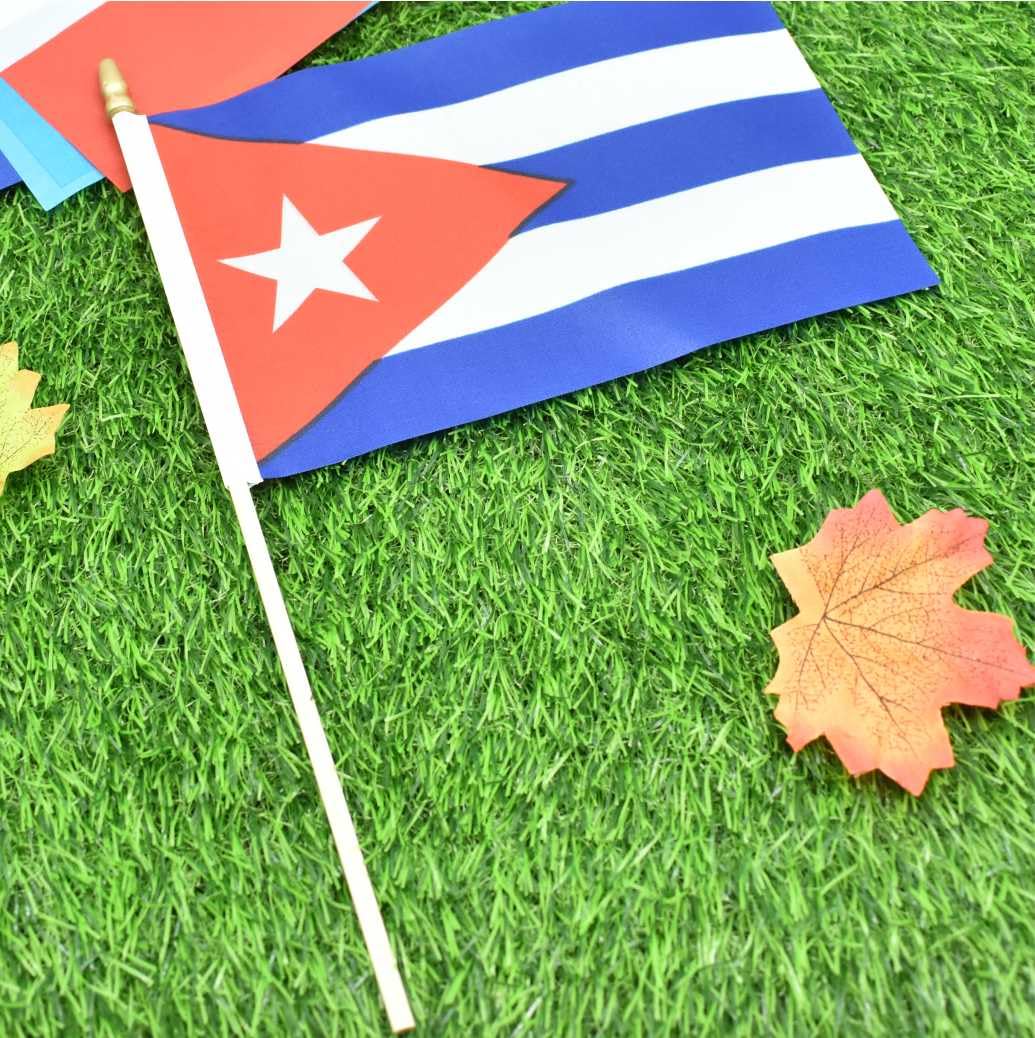 Ckexin 25-pack Cuban flags offering vibrant, reusable event displays.