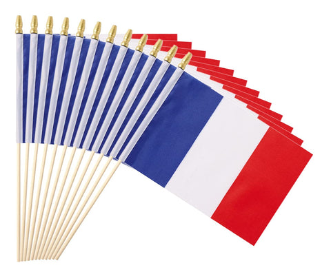 Ckexin France flag on a 5x8 inch stick with vivid, double-sided print for events.