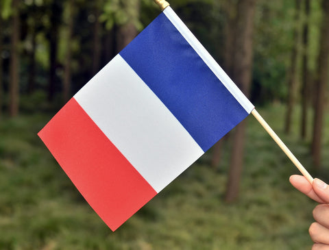 Ckexin France flag suitable for gardens, offices, and events.