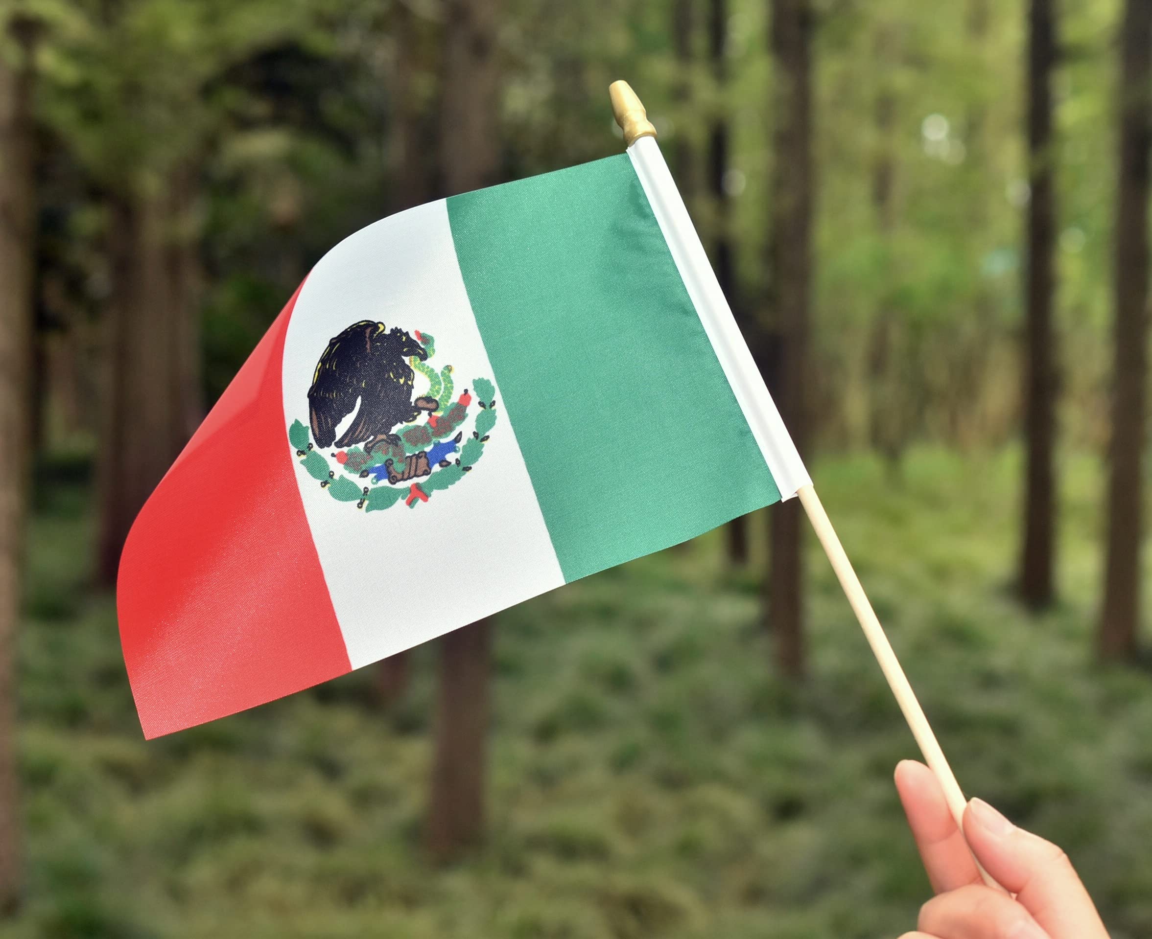 Ckexin flags suit garden or office decor and events.