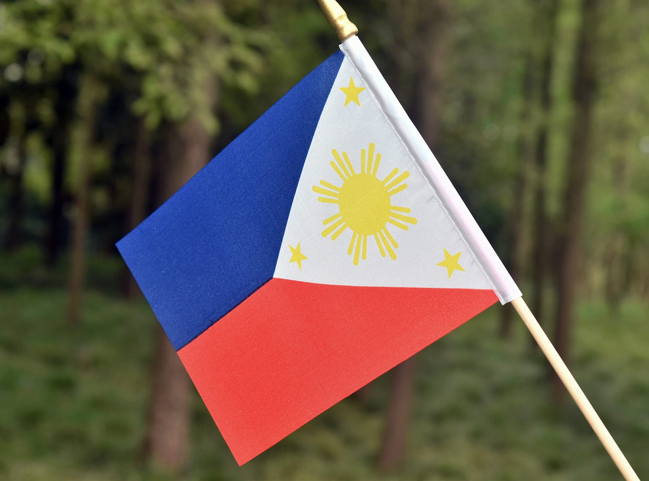 Ckexin Philippines flag assembly kit for reusable décor.