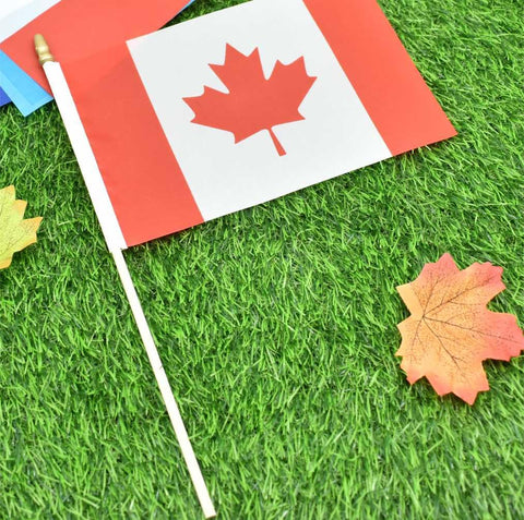 Ckexin UV and rain resistant flag for all-weather display