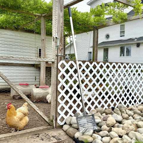 CKLT Chicken Coop Scooper adjustable angle for tight nesting boxes