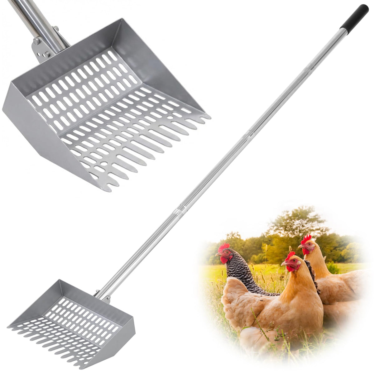 CKLT Chicken Poop Scooper with spring steel head for durable coop cleaning