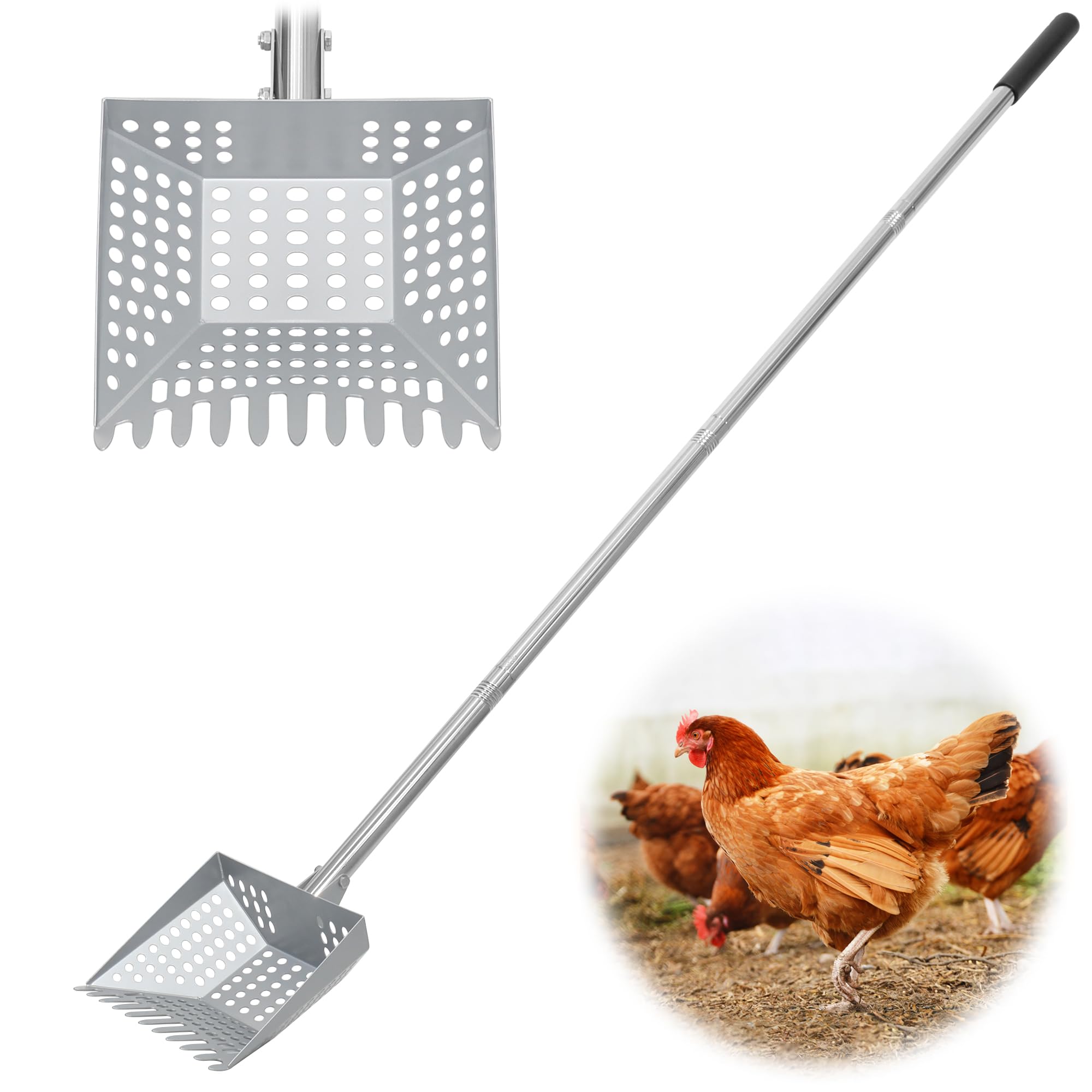 CKLT chicken poop scooper with tempered spring steel head for durable coop cleanup.