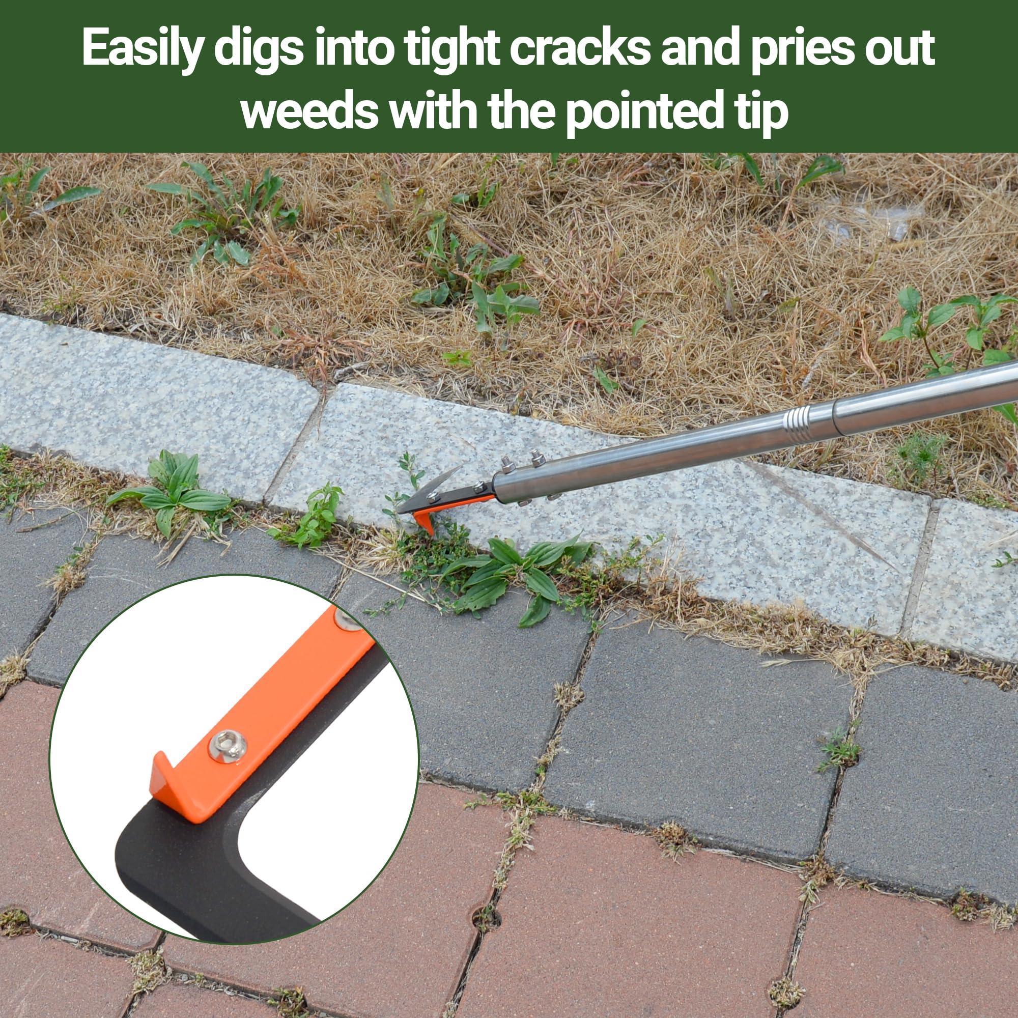 CKLT crack weeder blade edge highlighted for efficient cutting in narrow crevices