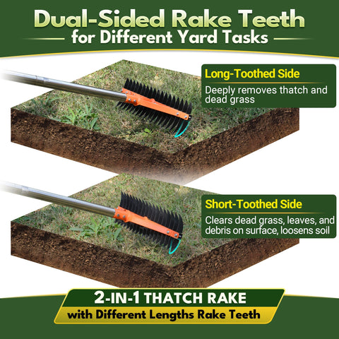 CKLT Thatch Rake 62.5-inch adjustable handle for back-friendly lawn dethatching.