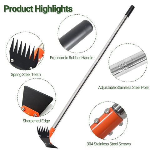 CKLT weed-remover between plants cleans tight beds with precision.