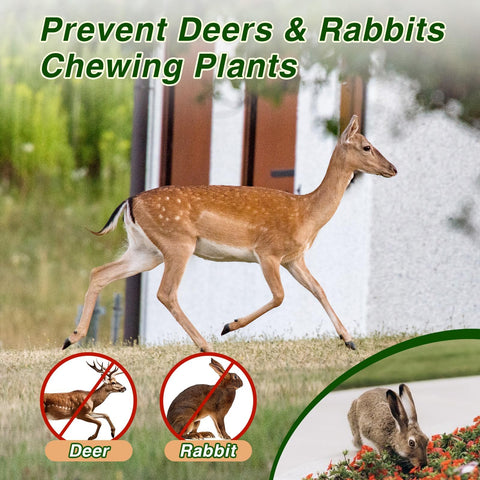 CKUKARM deterrent applied area in a garden bed showing effective deterrence.