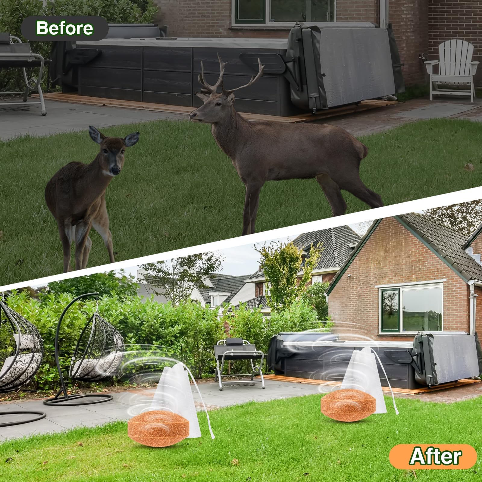 CKUKARM lawn and yard setup demonstrates simple placement along borders.