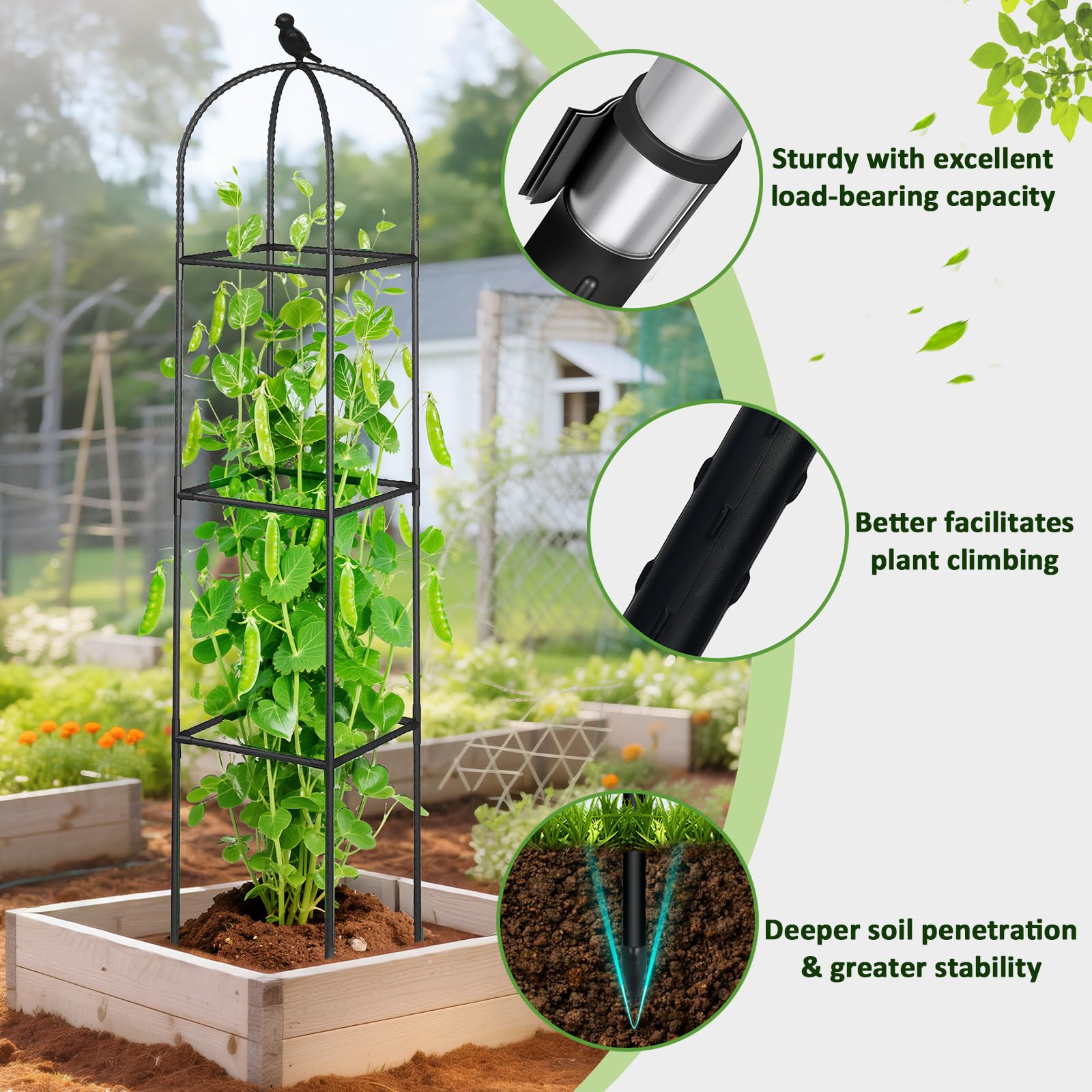 CL FUN cucumber trellis provides 6.2 ft height for climbing vines.