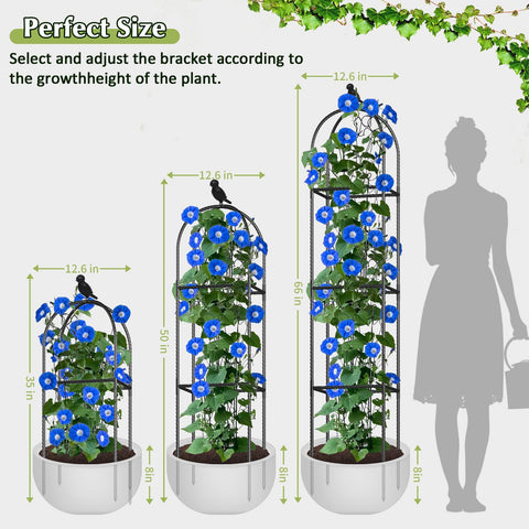 CL FUN easy-assembly trellis requires no tools for quick setup.